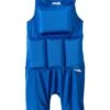 Boys' Blue Floatation Swimsuit (Toddler, Little Kid)