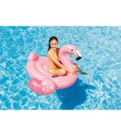 Intex Flamingo Ride-On (ages 14+)