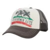 Billabong Women's Pitstop Trucker Hat
