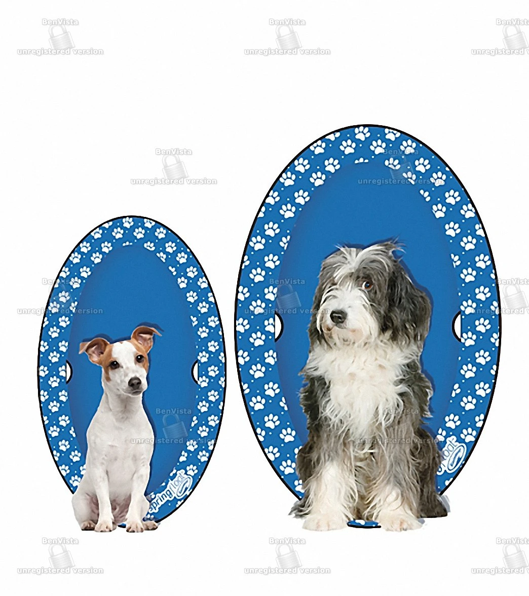 Dogs' Spring Float Paddle Paws (Large 65lbs+) 1 Dogs' Spring Float Paddle Paws (Large 65lbs+)